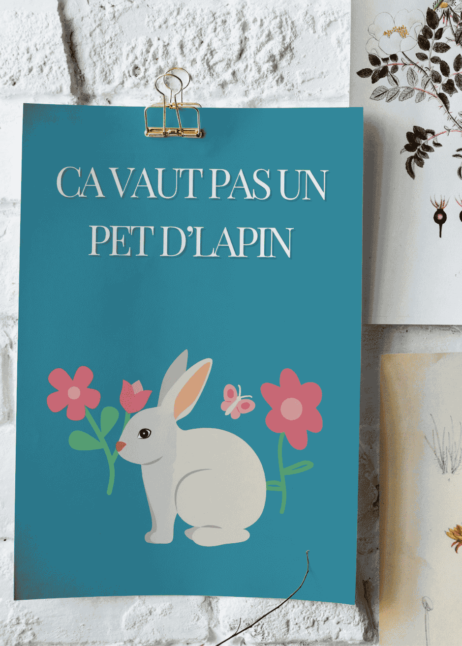 AFFICHE CA VAUT PAS UN PET D'LAPIN