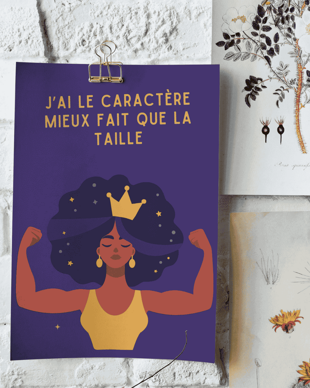 AFFICHE J'AI LE CARACTERE MIEUX FAIT QUE LA TAILLE