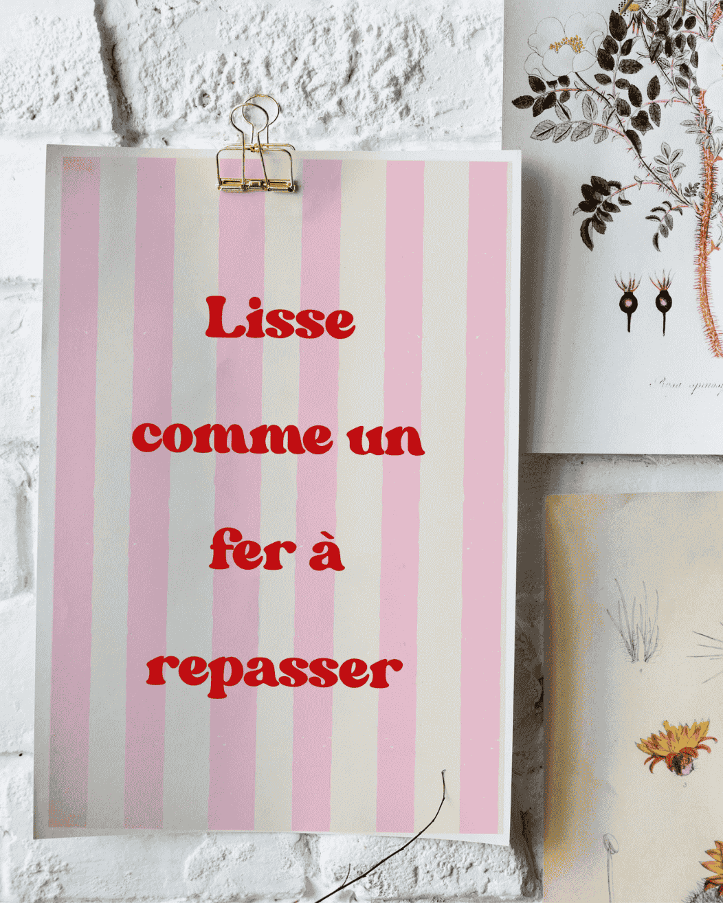 AFFICHE LISSE COMME UN FER A REPASSER