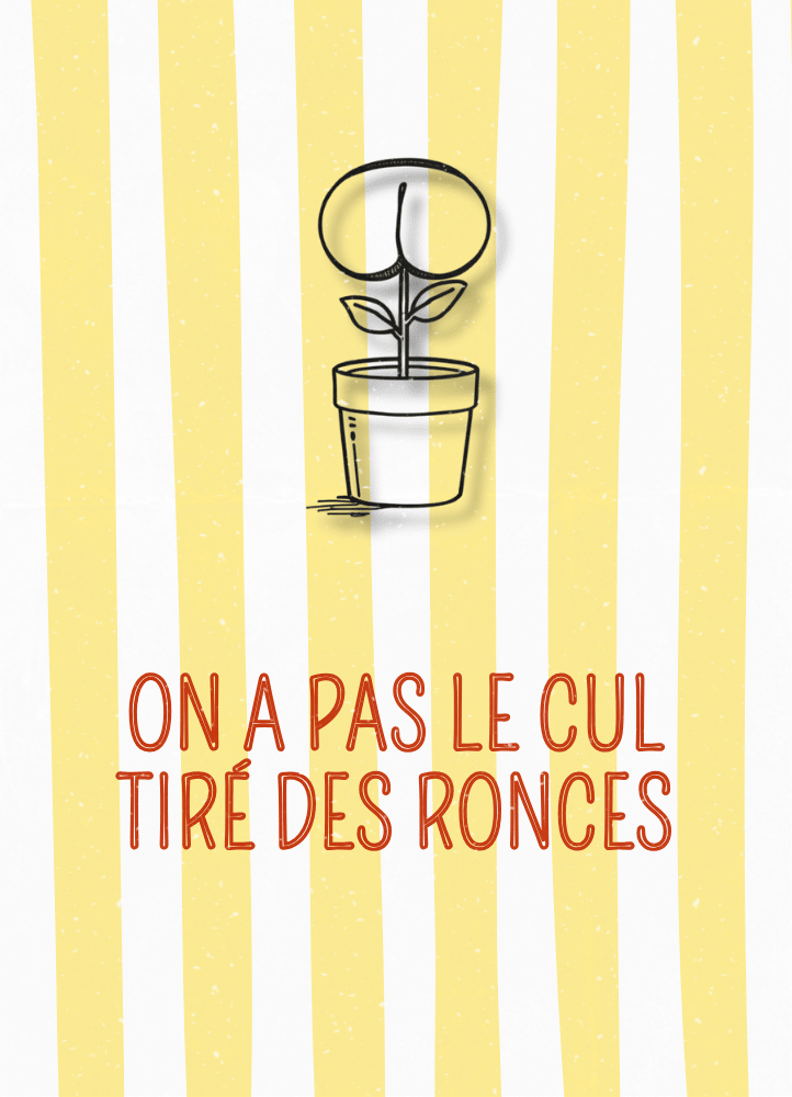 AFFICHE ON A PAS LE CUL TIRE DES RONCES
