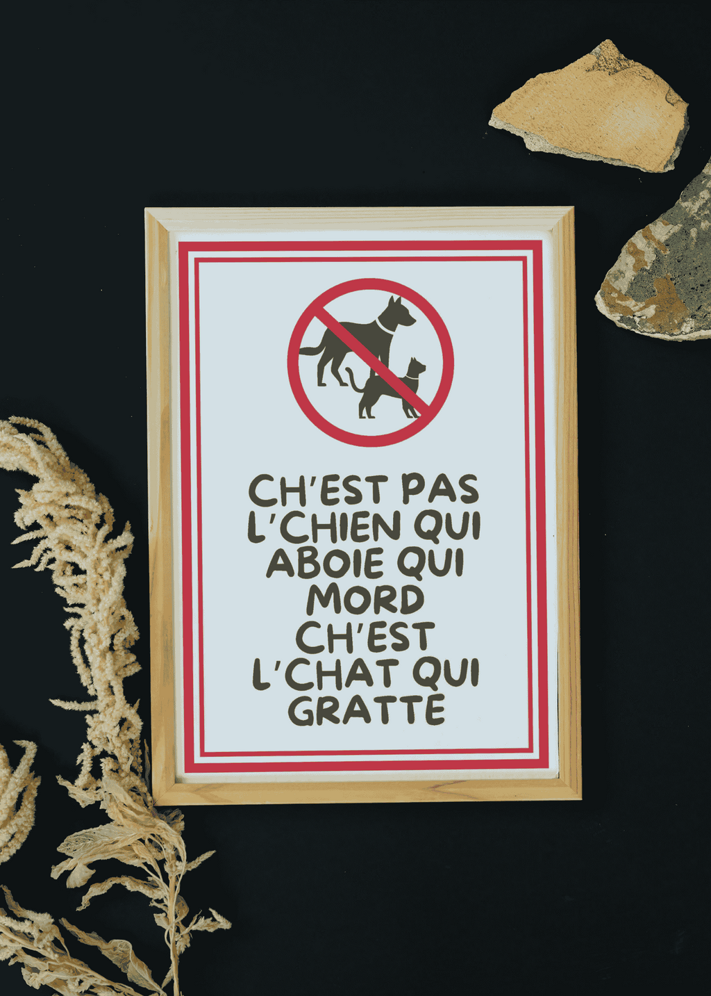 Visuel Mockup Ch'est pas l'chien qui aboie qui mord