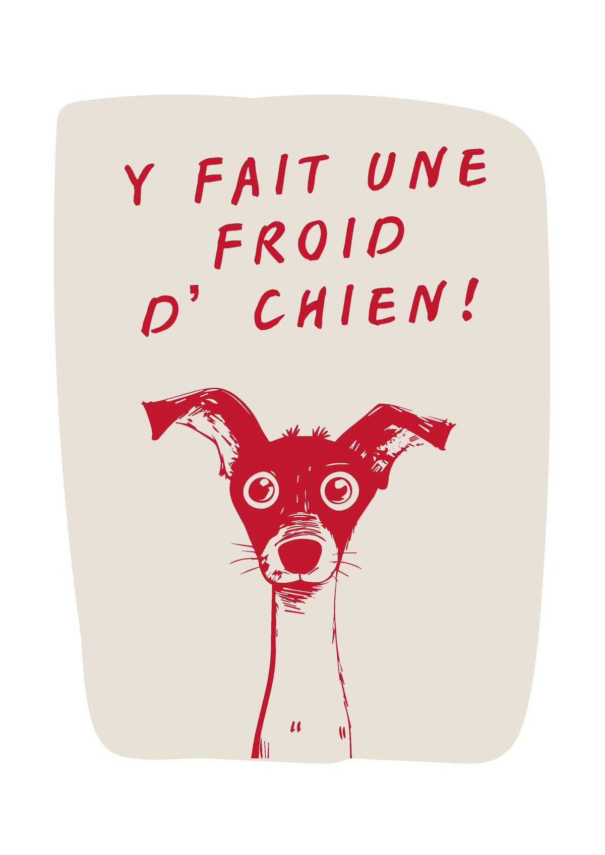 Visuel Affiche Il fait Une Froid d'Chien